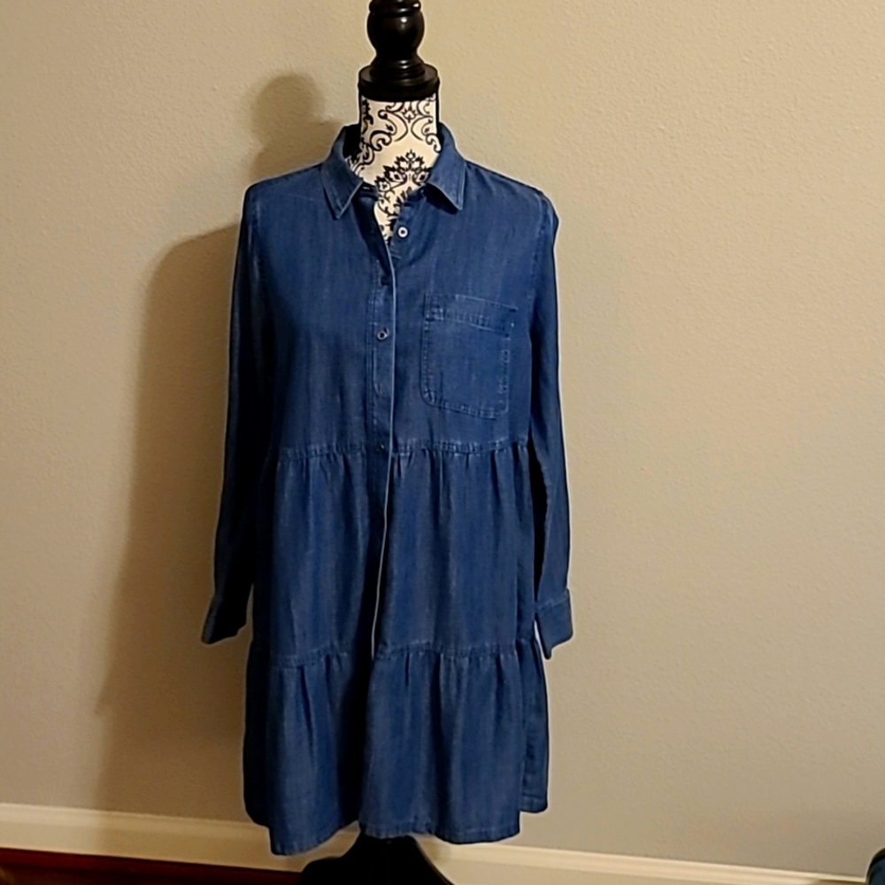 Chambray Long Sleeve Dress